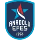 安纳托利亚艾菲斯 队徽