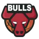 公牛 队徽